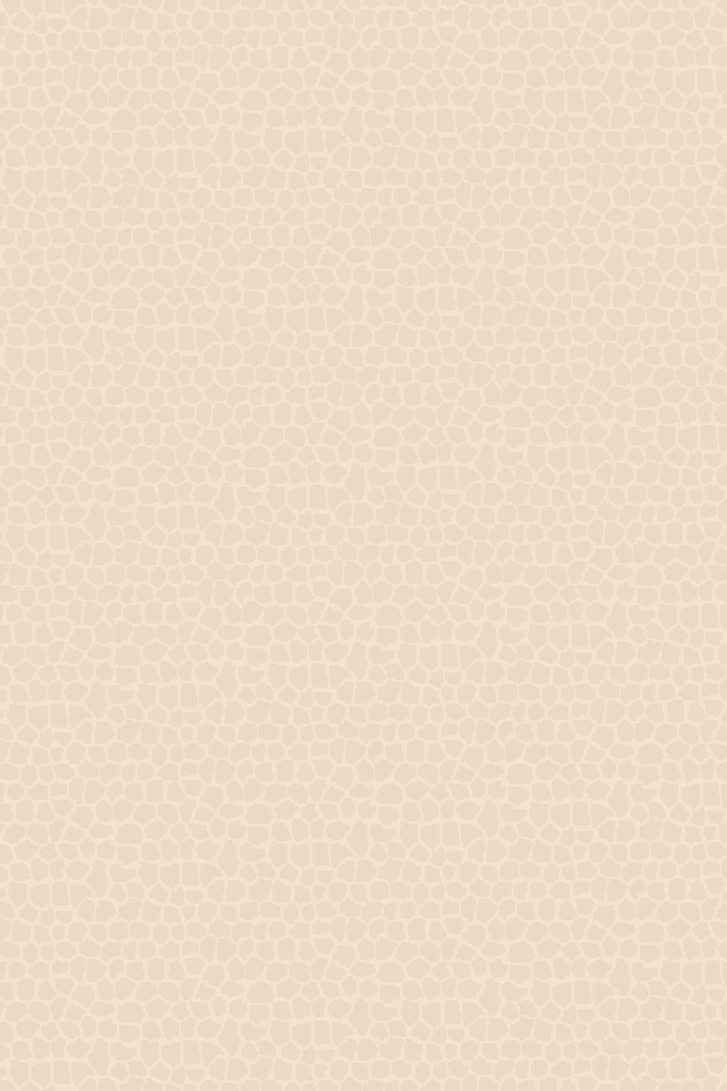 Grano · B-0081 · Diseño del catálogo