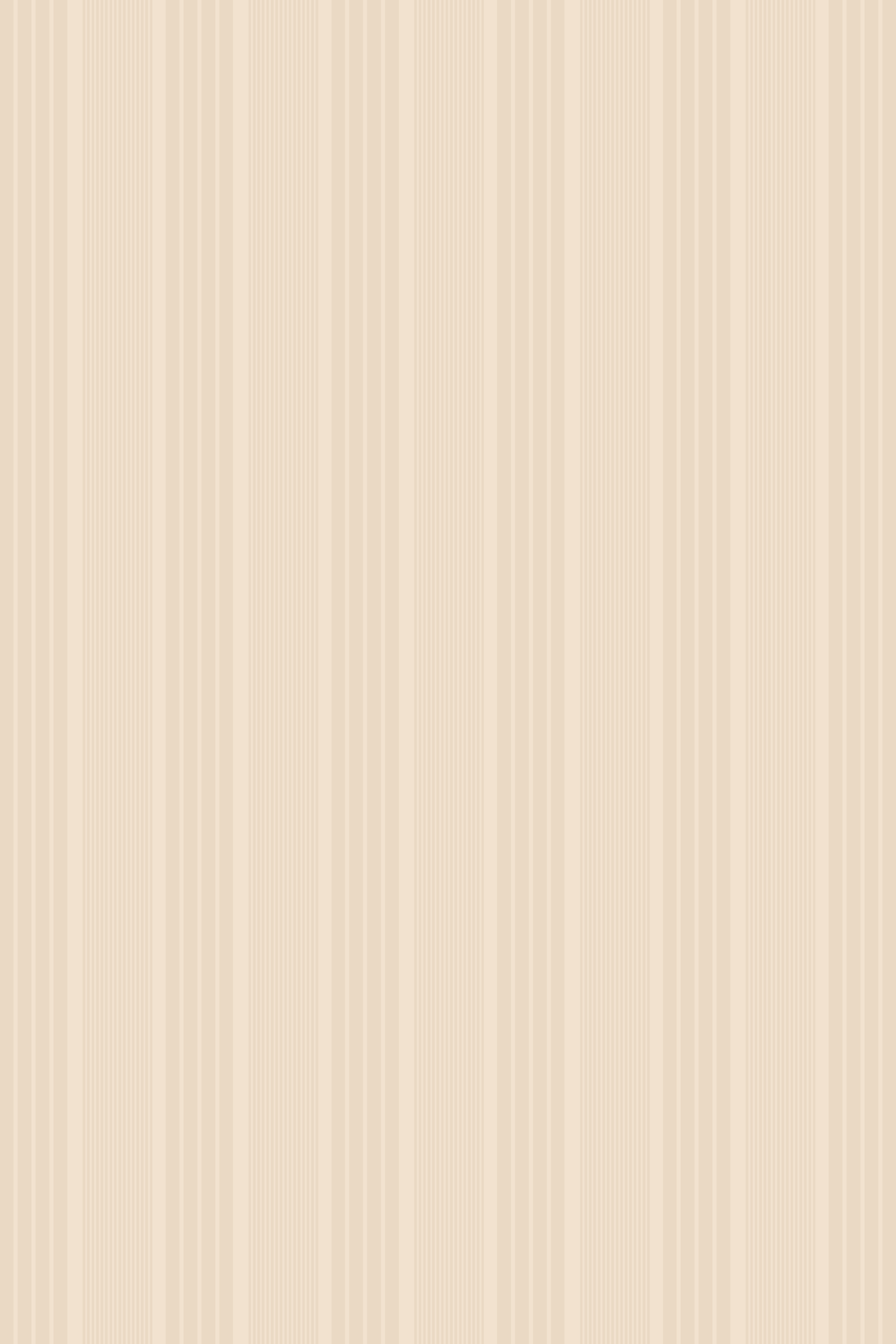 Junco · B-0012 · Diseño del catálogo